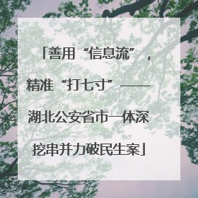 善用“信息流”，精准“打七寸”——湖北公安省市一体深挖串并力破民生案